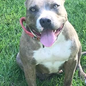 Meet your Posher, Bryan